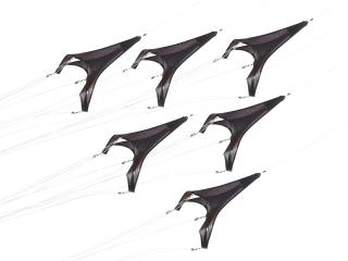 E.V. Day - G-Force over Texas