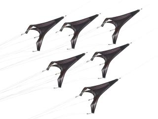 E.V. Day - G-Force over Texas