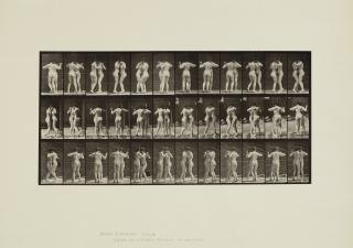 Eadweard Muybridge - Animal Locomotion, 1887