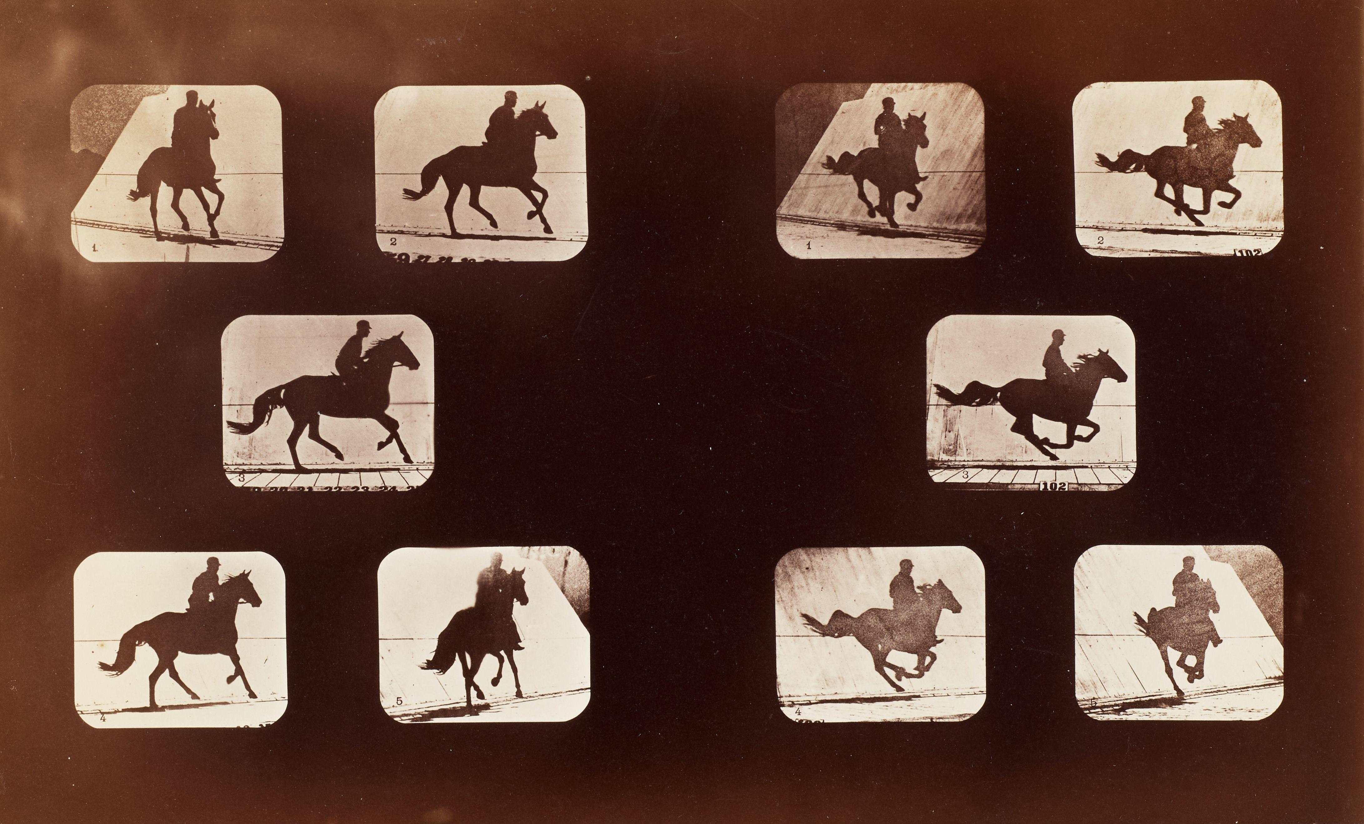 Eadweard Muybridge - Animal Locomotion, Horse, 1881