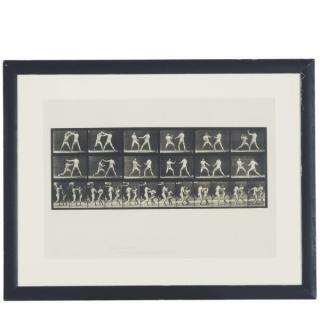 Eadweard Muybridge - Animal Locomotion, Plate 329