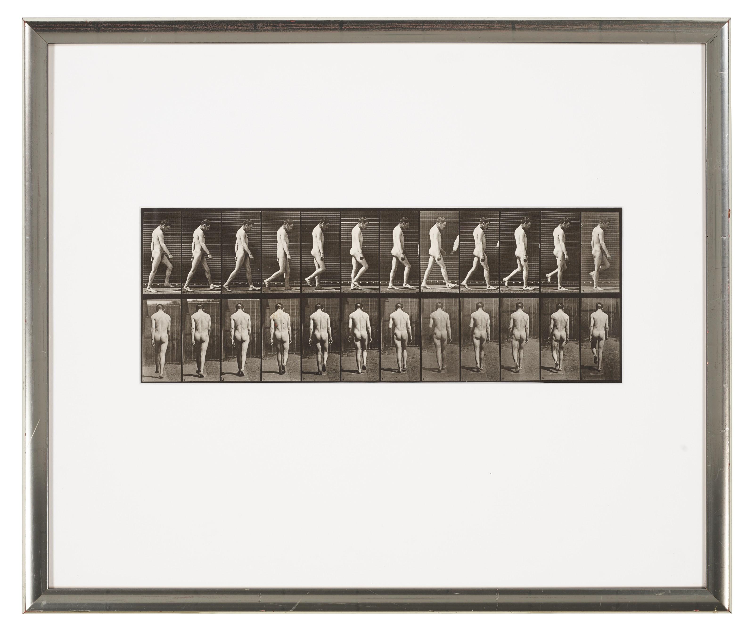 Eadweard Muybridge - Animal Locomotion, Plate 549, 1887