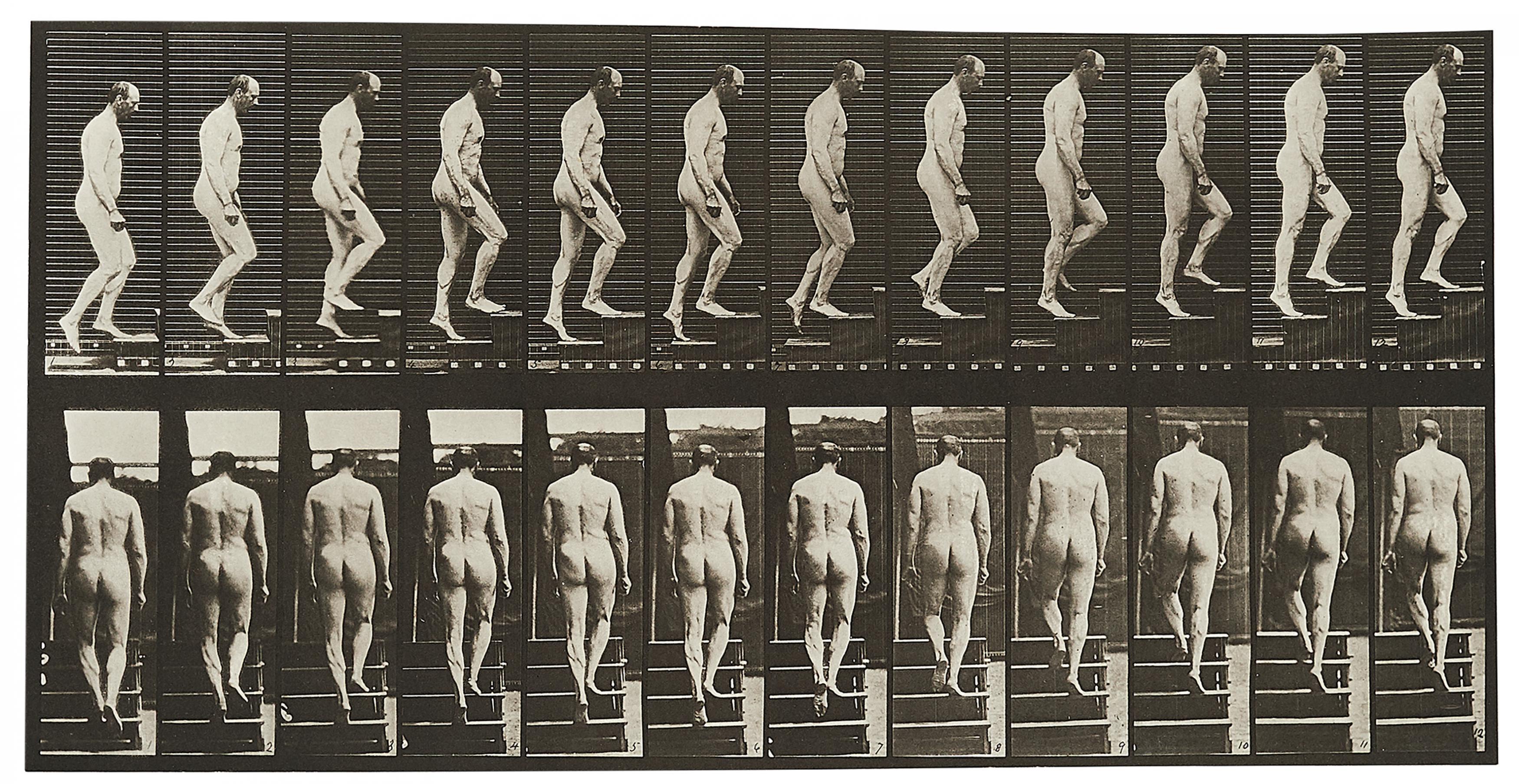 Eadweard Muybridge - Animal Locomotion (Plate 89)
