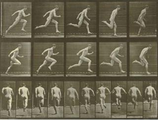 Eadweard Muybridge - Bird in Flight and Man Running, 1887, from Animal Locomotion