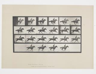 Eadweard Muybridge - Horse and Rider from Animal Locomotion, Plate 625, 1887