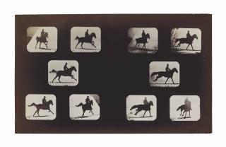 Eadweard Muybridge - Horse And Rider, From \'Attitudes Of Animals In Motion...\', 1881