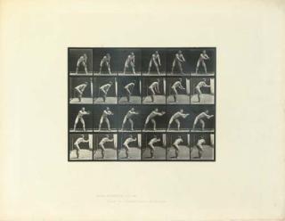Eadweard Muybridge - Man Catching Baseball (from Animal Locomotion)