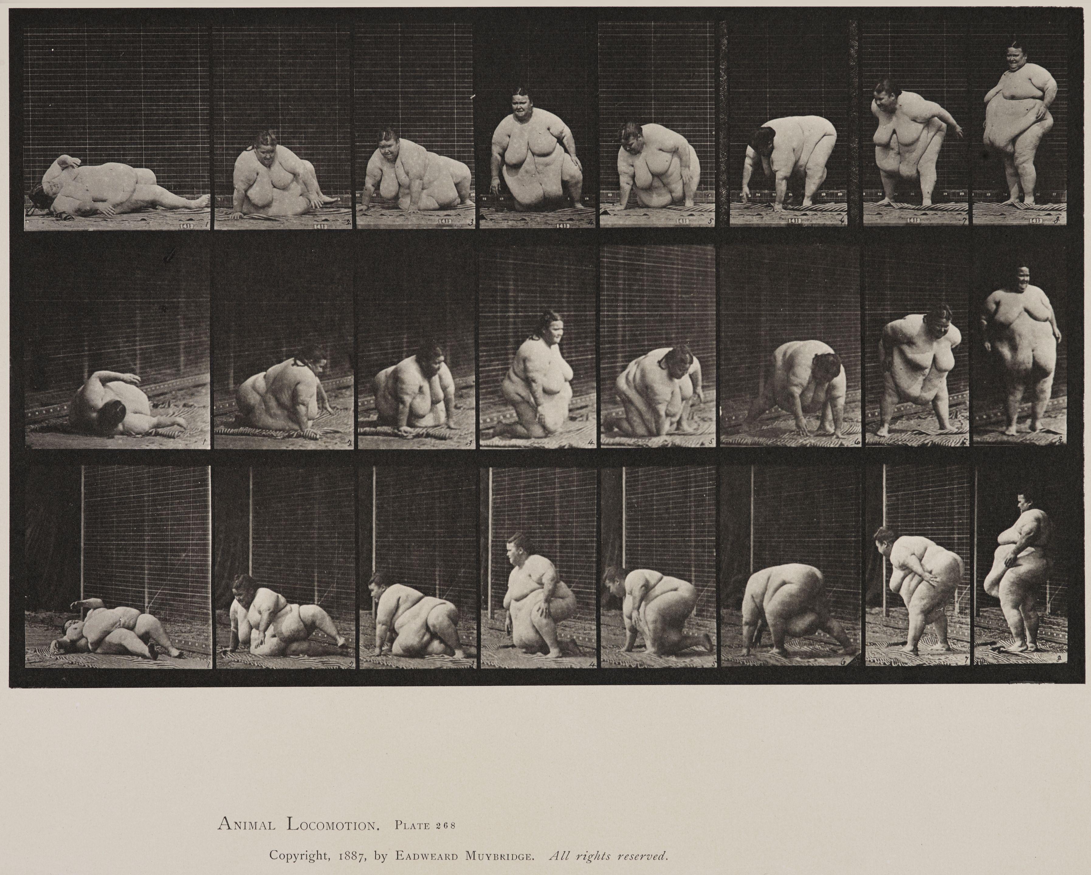 Eadweard Muybridge - Plate 268 from \