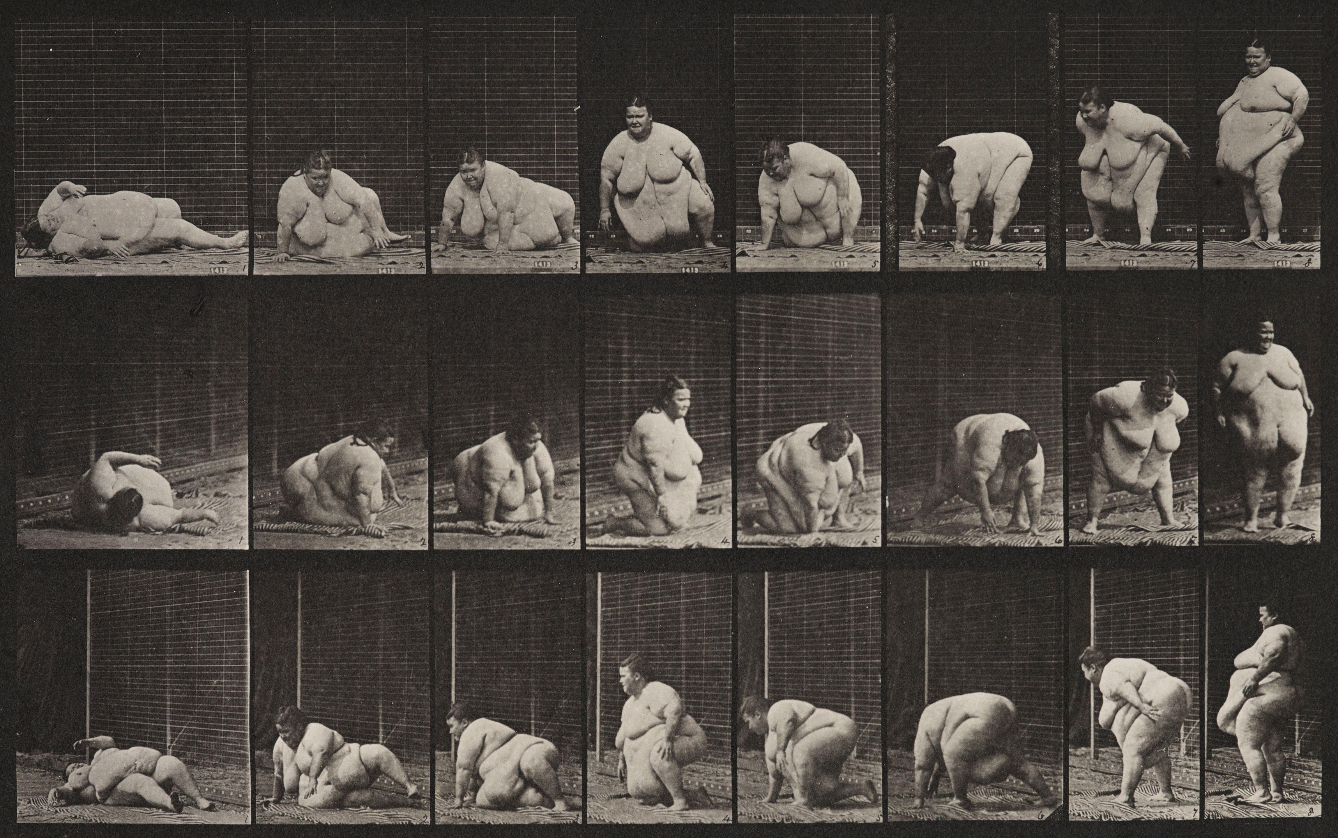 Eadweard Muybridge - Plate 268 from \