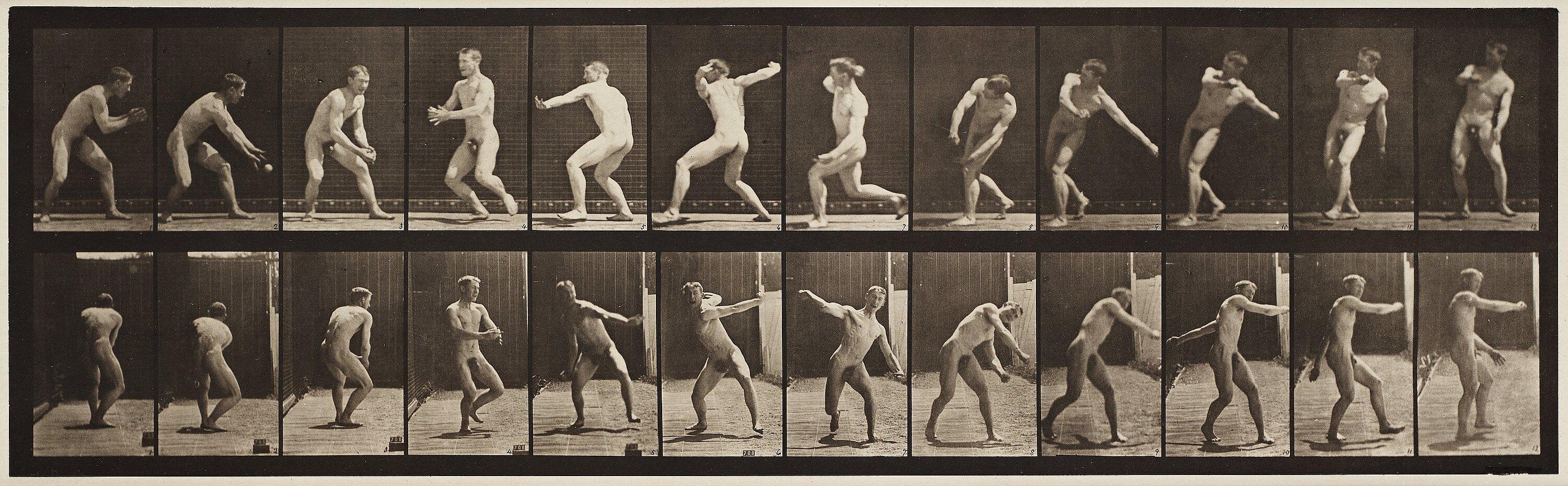 Eadweard Muybridge - Plate 284 from \