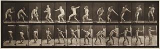Eadweard Muybridge - Plate 284 from \
