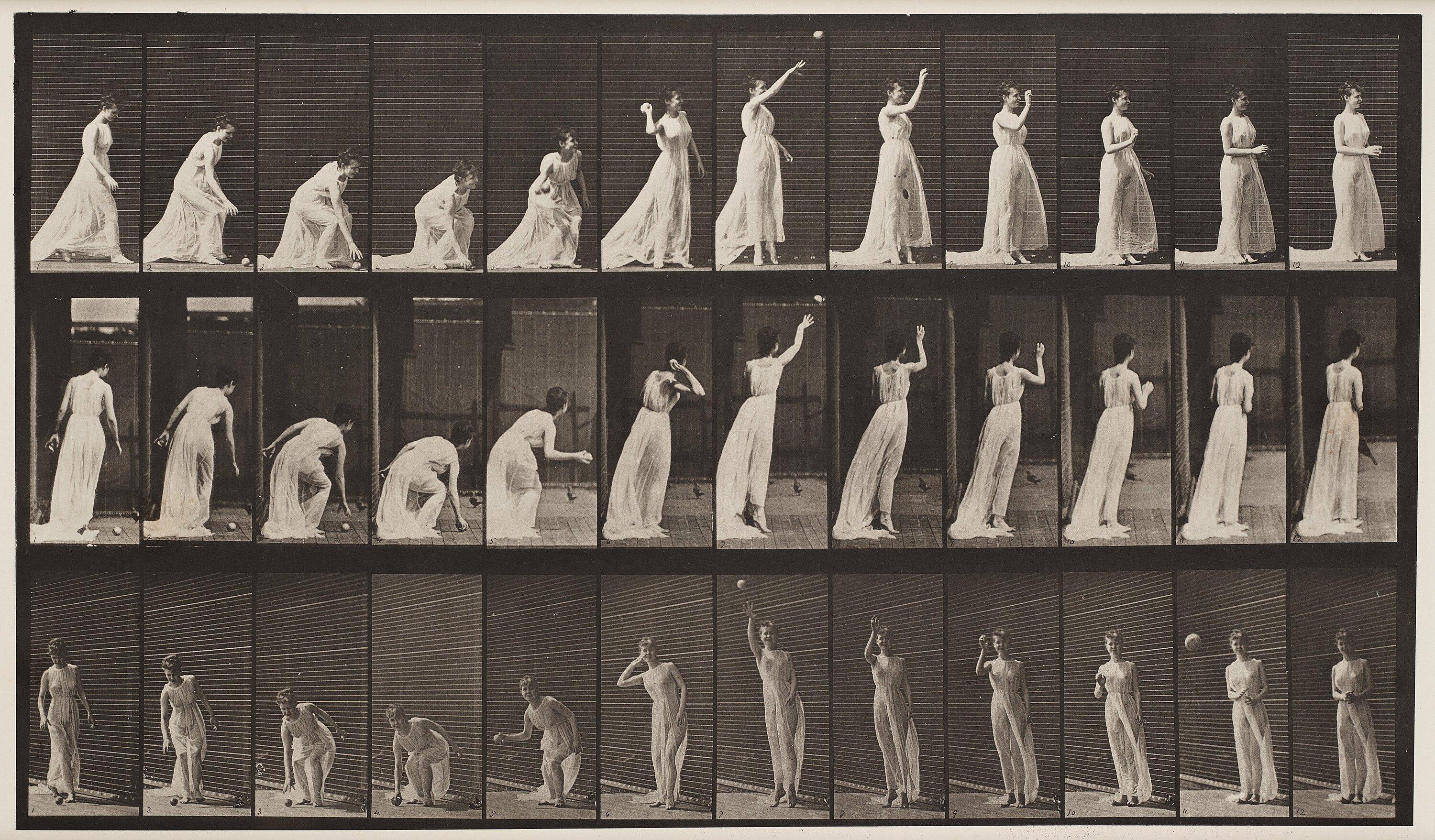Eadweard Muybridge - Plate 305 from \
