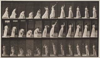 Eadweard Muybridge - Plate 305 from \