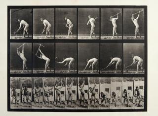 Eadweard Muybridge - Plate 385, Farmer, Using Pick
