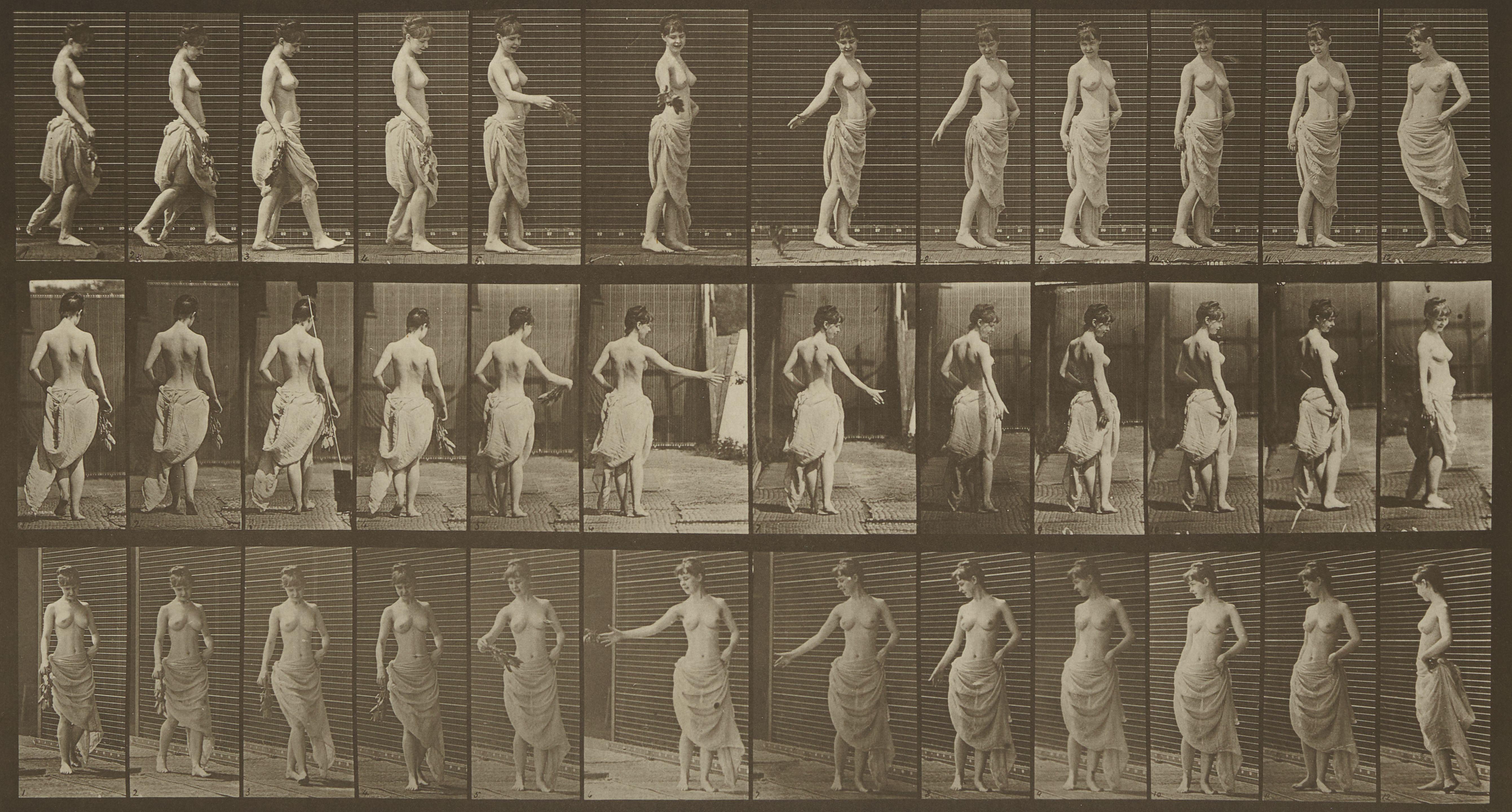 Eadweard Muybridge - Plate 53 from \'Animal Locomotion\'