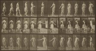 Eadweard Muybridge - Plate 53 from \'Animal Locomotion\'