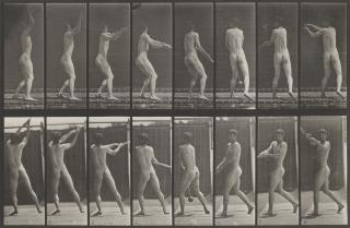 Eadweard Muybridge - Plates 290 and 309 from \
