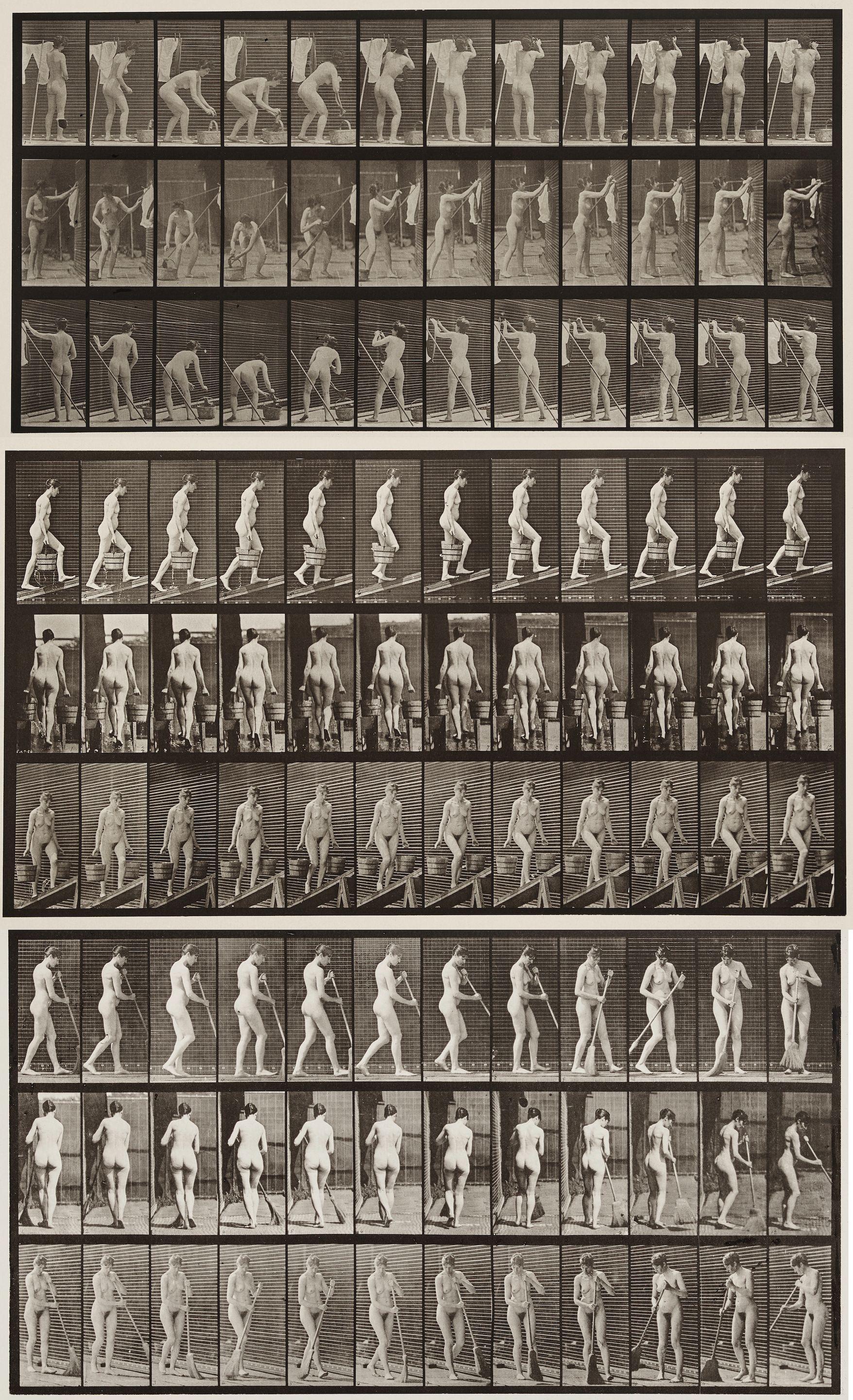 Eadweard Muybridge - Plates 58, 81 and 434 from \