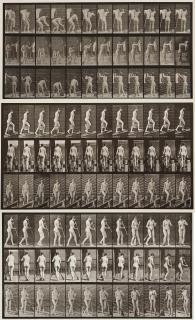Eadweard Muybridge - Plates 58, 81 and 434 from \