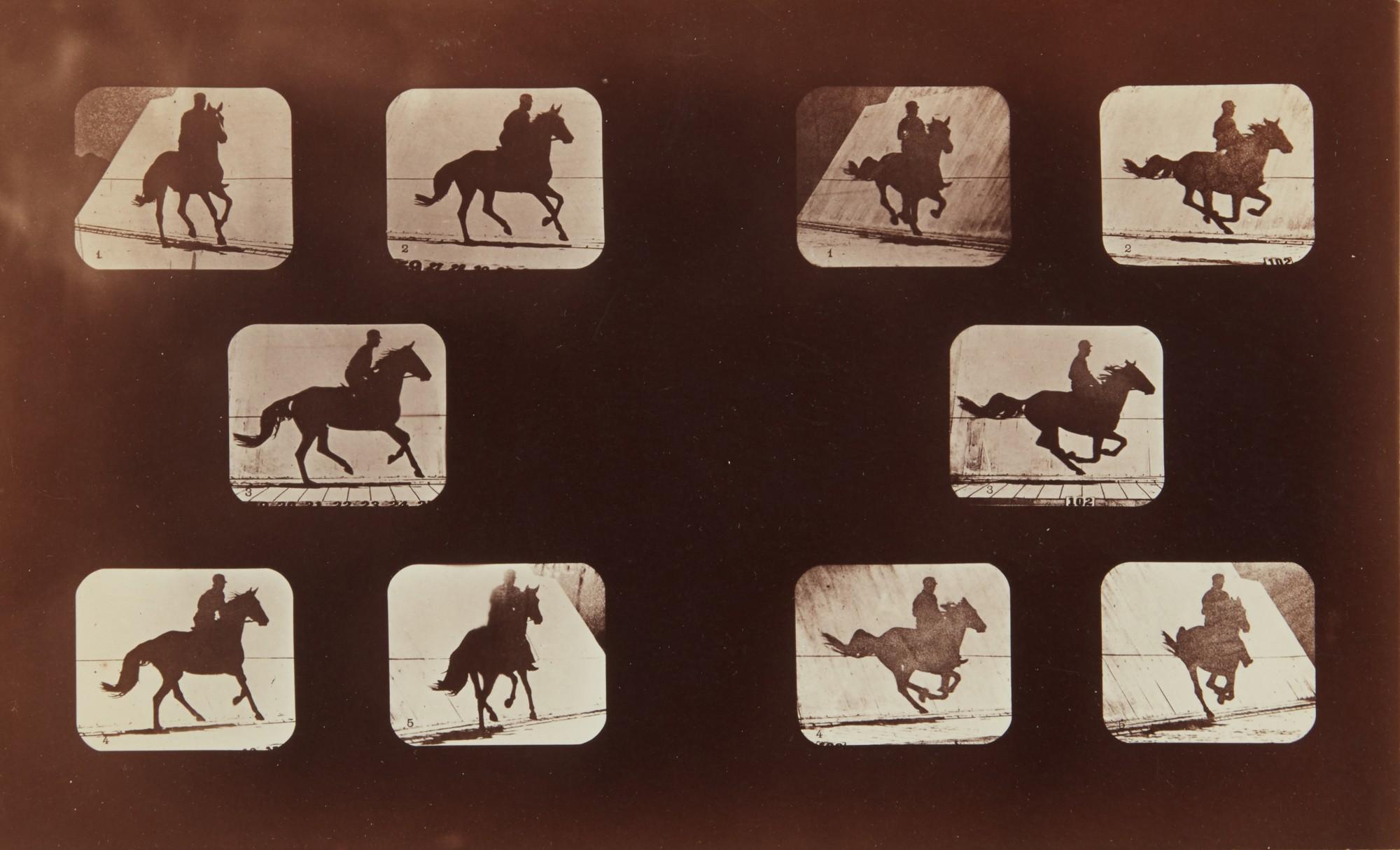 Eadweard Muybridge - Running Horse and Rider (plates 159-160 from The Attitudes of Animals in Motion)