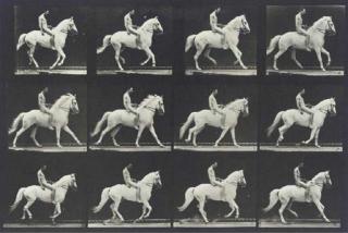 Eadweard Muybridge - Selected Images, 1872-1885