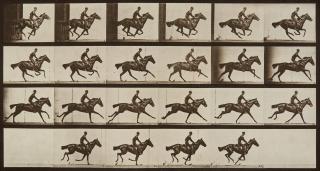 Eadweard Muybridge - Selected images from \