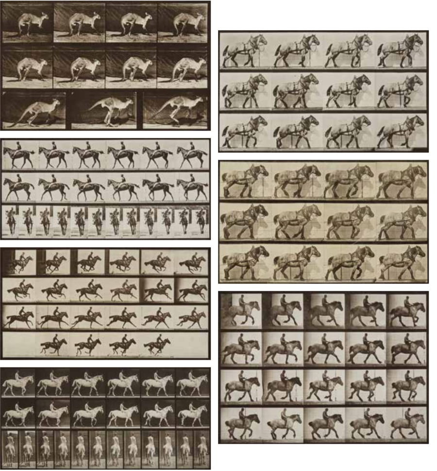 Eadweard Muybridge - Selected Images From \