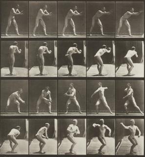 Eadweard Muybridge - Selected Images (from Animal Locomotion)