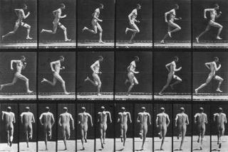 Eadweard Muybridge - Selected images from Animal Locomotion