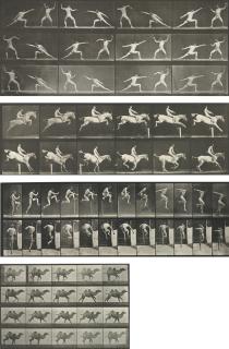 Eadweard Muybridge - Selected Motion Studies