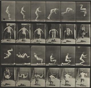 Eadweard Muybridge - Selected Motion Studies