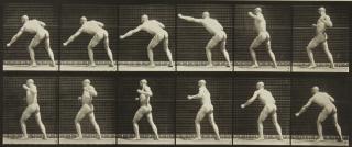 Eadweard Muybridge - Selected Motion Studies