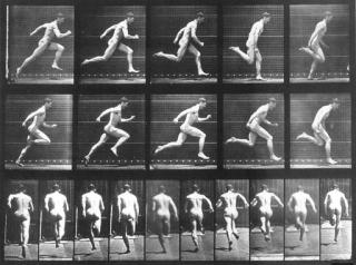 Eadweard Muybridge - Selected Motion Studies