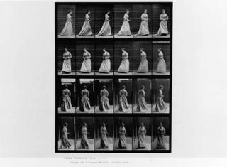 Eadweard Muybridge - Selected Motion Studies
