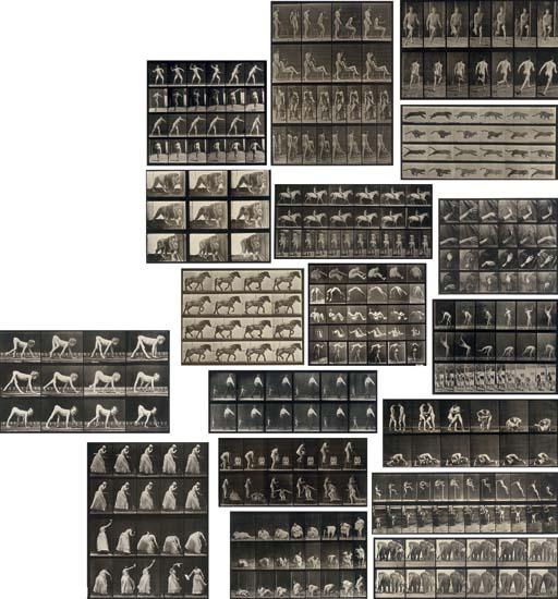Eadweard Muybridge - Selected plates from Animal Locomotion, 1871-1885