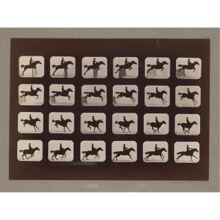 Eadweard Muybridge - Sequential Motion Study, Horse And Rider