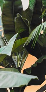 Eberhard Havekost - »U4\