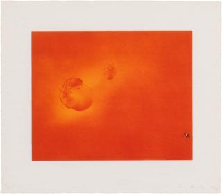 Ed Ruscha - Boiling Blood, Fly (E. 27)