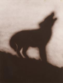 Ed Ruscha - Coyote (Engberg 144)