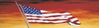 Ed Ruscha - Flag