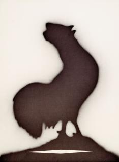 Ed Ruscha - Gallo