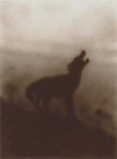 Ed Ruscha - Howl