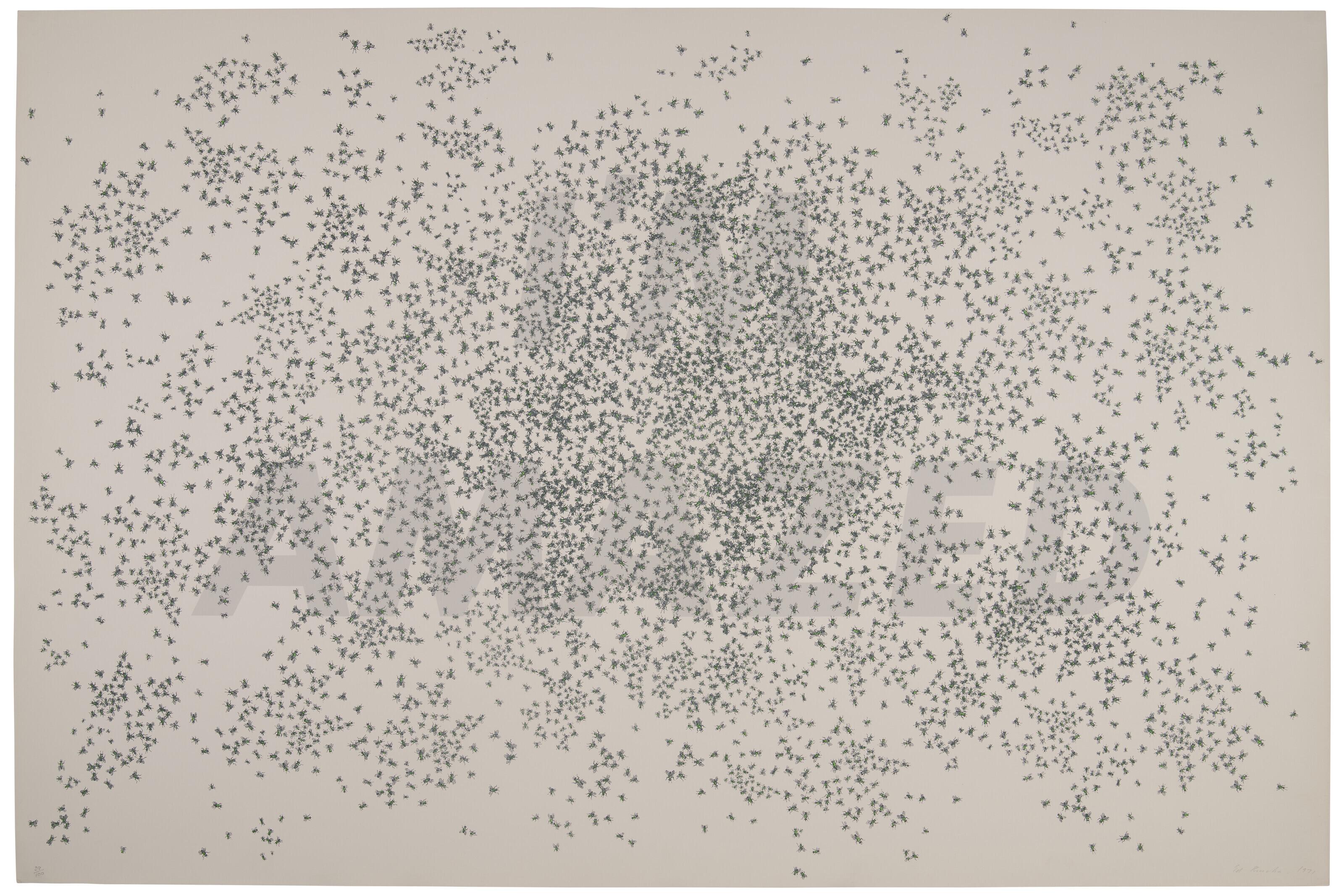 Ed Ruscha - I\'m Amazed, from Fourteen Big Prints