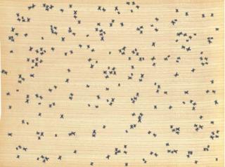 Ed Ruscha - Insects (Engberg 60-65)