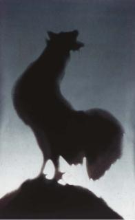 Ed Ruscha - Rooster (E. 159)