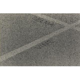 Ed Ruscha - Selma Meets Vine