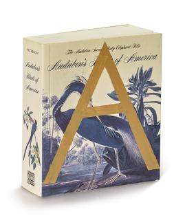 Ed Ruscha - Vowel #78 (A), 1996