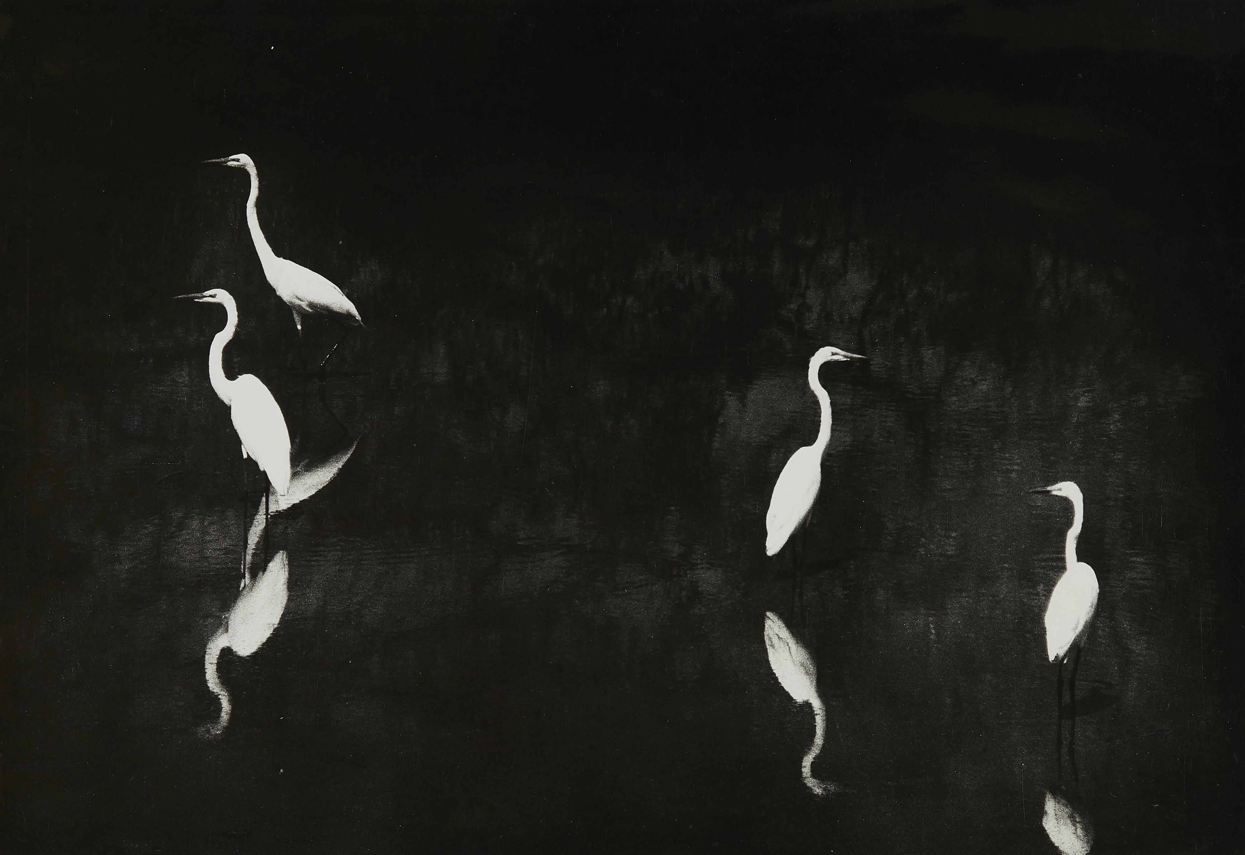 Ed van der Elsken - Ohne Titel