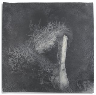 Edgar Arceneaux - Dawn of man