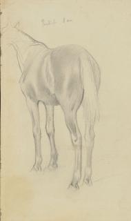 Edgar Degas - Étude de cheval (recto;verso)